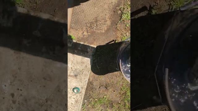 Интеркулер устал смотреть онлайн