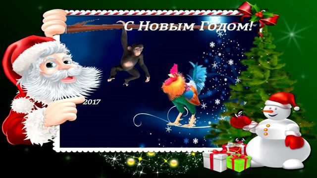 Петух новый 2017