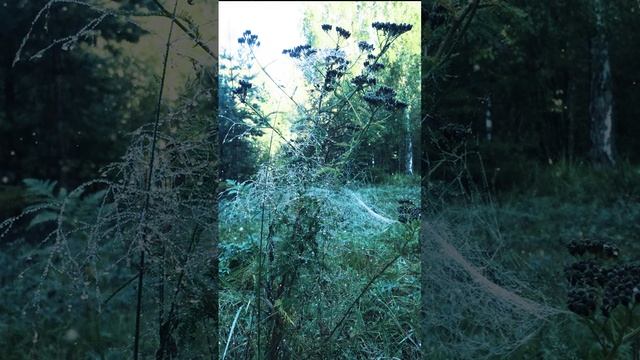 one minute meditation (медитация за одну минуту) смотреть онлайн