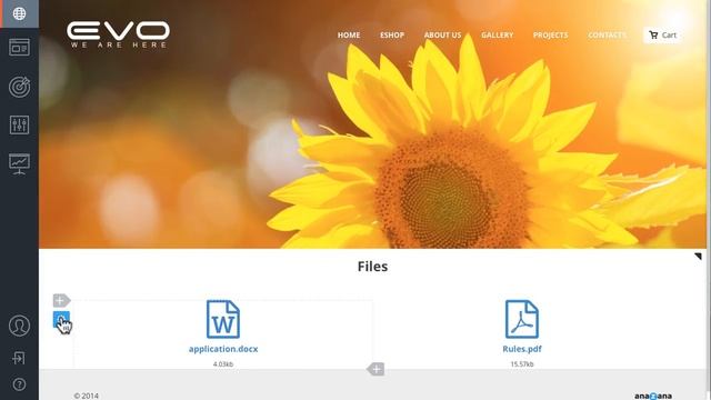 How to add .docx, .pdf, .xls and other formatted Files to your anaZana website смотреть онлайн