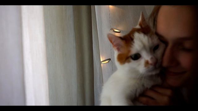 5 простых идей для фото с котом | в домашних условиях смотреть онлайн