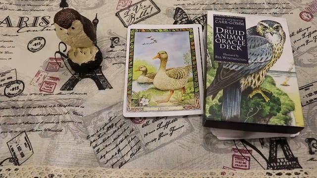 Карты плодородия и изобилия в druid animal oracle ЛИНЕЙКА КАРТ#2 смотреть онлайн