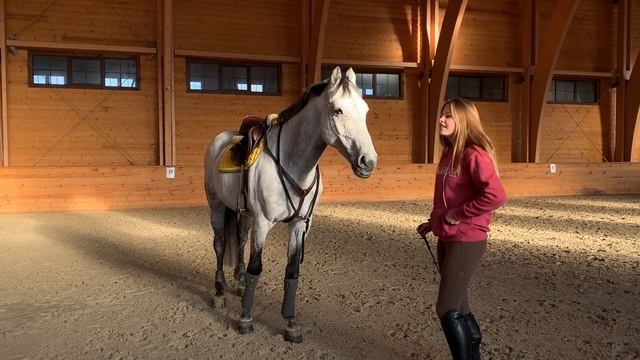Bridleless riding, Russia♥ Свободный спорт || езда без уздечки смотреть онлайн