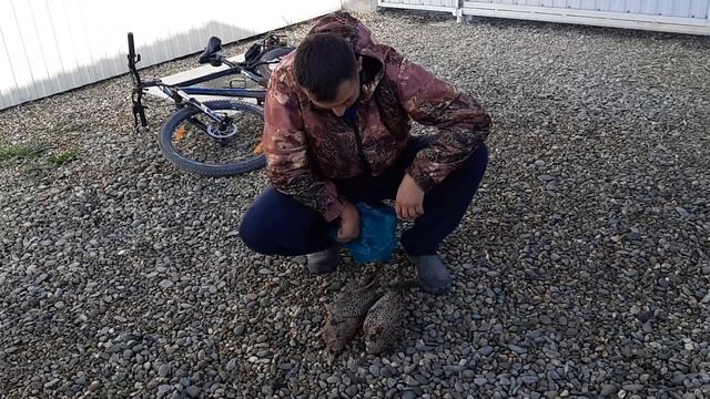 Деревенские мужские развлечения . Переезд в Краснодар смотреть онлайн