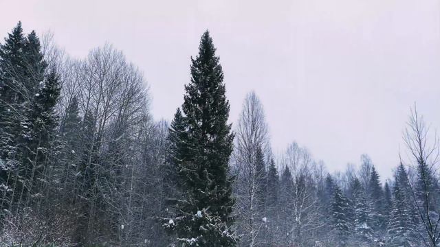 BORSSCH - Леса(П.А.Вяземский 1830) смотреть онлайн