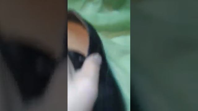 Ремонт каблуков, заполнение пробкой пустот, набойки. смотреть онлайн