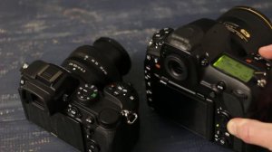Cравнение звука затворов Nikon D850 и Nikon Z 5