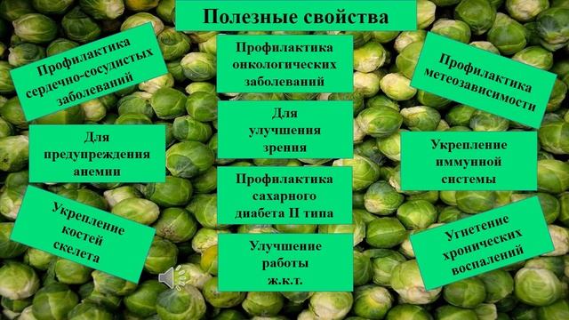 БРЮССЕЛЬСКАЯ капуста или капуста - роза смотреть онлайн