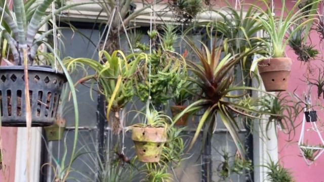 The Perfect Airplants for Xmas! смотреть онлайн