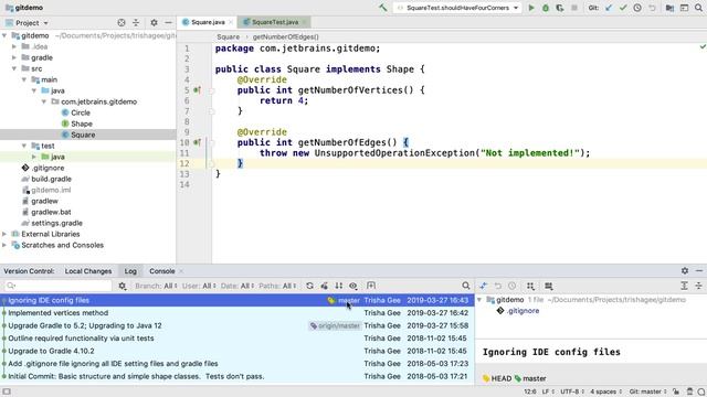 IntelliJ IDEA. Introduction to Version Control Systems смотреть онлайн