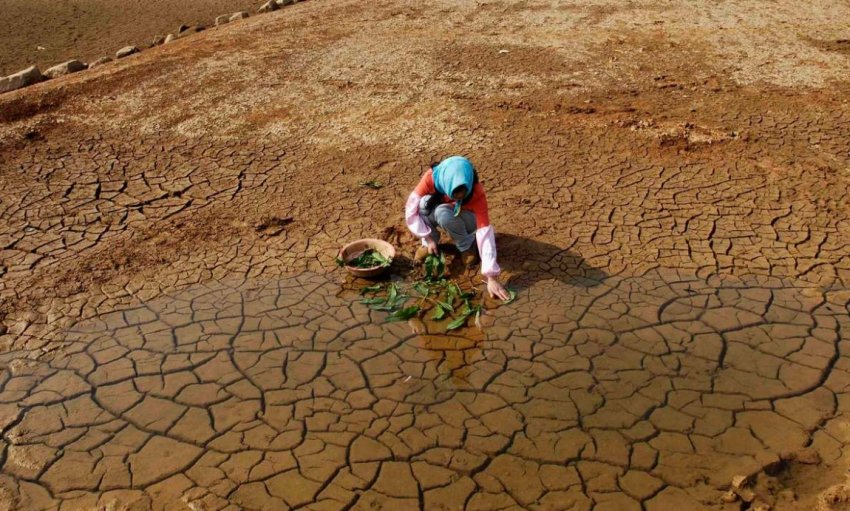 Безжизненная земля превращена в вечнозеленый лес. #humus soil #crop production смотреть онлайн