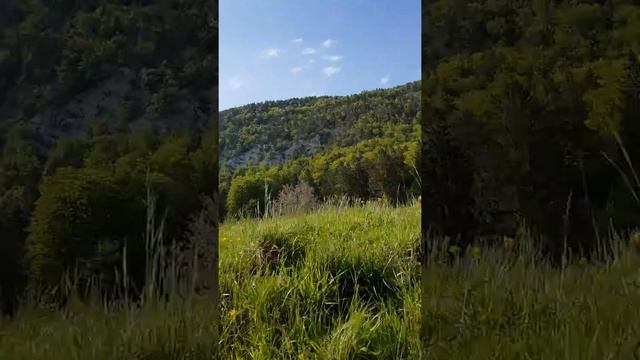 Petite vue de nos beaux paysages Suisse + vol du milan royal смотреть онлайн