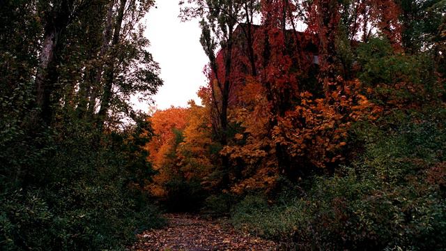Robert Rich – Somnium (Part 1 Of 6)