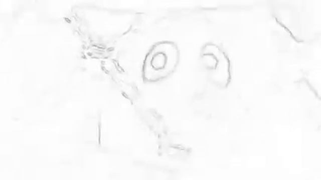 Finding Nemo Nemo saves Dory sketch смотреть онлайн