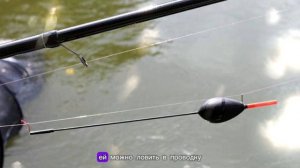 Карась!!! Вот оно и настало! Лучшее время для ловли трофейного карася?