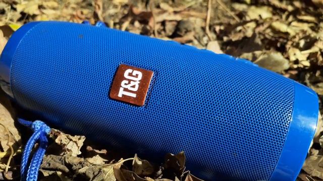 T&G 157 bass test.[out doors] no equaliser!!! 100%volume!!! sickbasshead смотреть онлайн