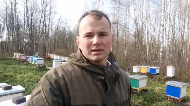 Год нашему каналу! Заказы на сезон 2022, ответы на вопросы. смотреть онлайн