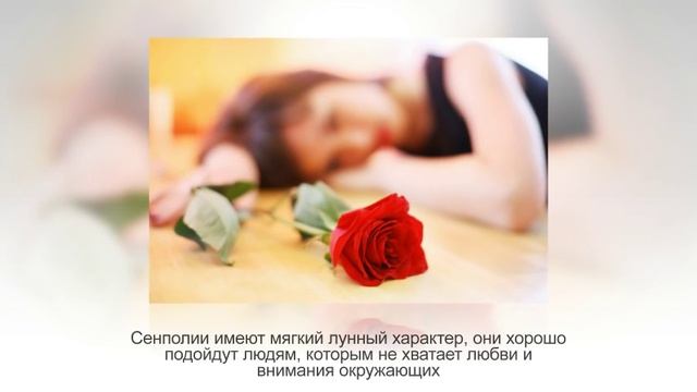 Комнатные растения по знаку зодиака. ТЕЛЕЦ (21 апреля — 21 мая) смотреть онлайн