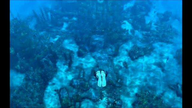 Tomb Raider Underworld Walkthrough Part 1 Full HD 1080p| 3D смотреть онлайн