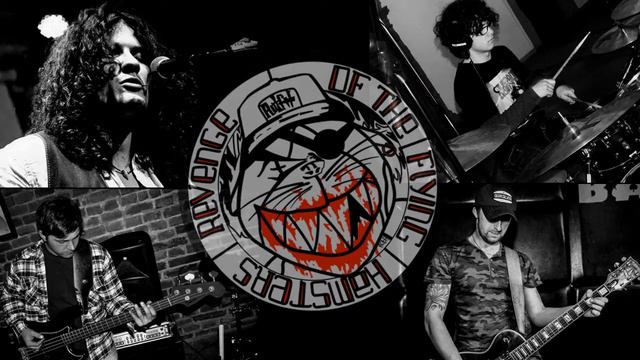 Revenge of the Flying Hamsters - The Nutcracker смотреть онлайн