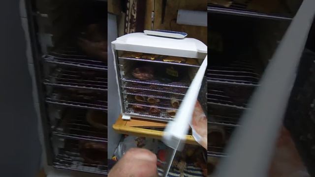 читайте описание ♥️♥️♥️ #енотилюша #ямыилюша #помощьбездомнымживотным #анапа смотреть онлайн