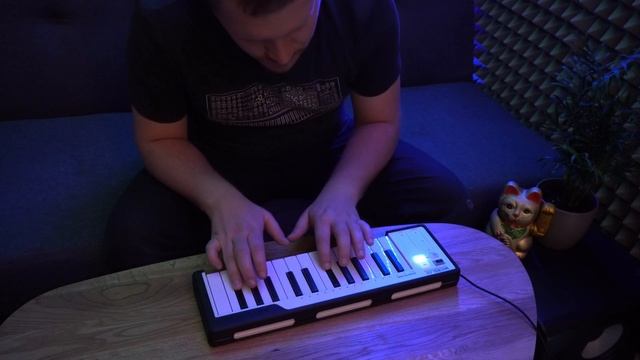 ARTURIA MICROLAB PERFORMANCE смотреть онлайн