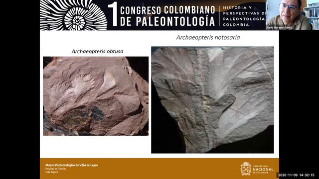 Norte de Sudamérica y sus vínculos paleobiogeográficos durante el Paleozoico смотреть онлайн