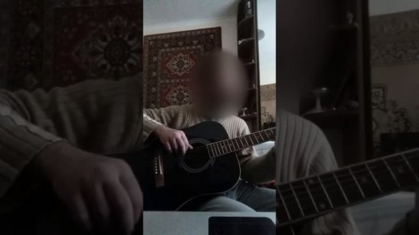 Martinez guitar FAW-702