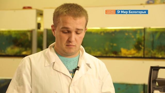 Декорирование аквариума смотреть онлайн