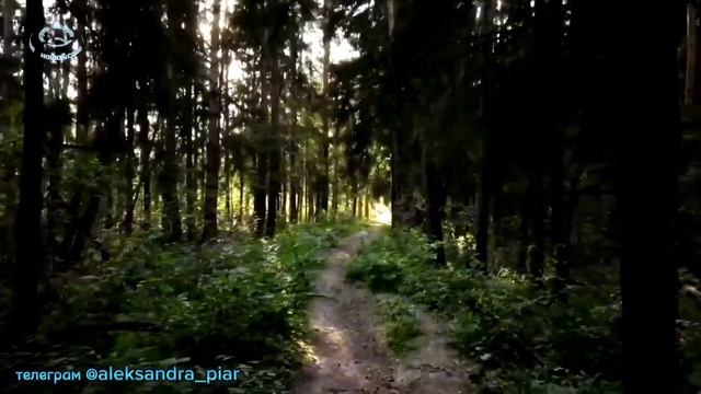 Я один смотреть онлайн