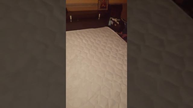 Отзыв о матрасе Alitte Art-Duo Diego Eco S1000 SH-20-K 160*200 и магазине "Анатомия сна" смотреть онлайн