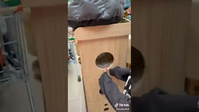 Аня Ищук и Дима