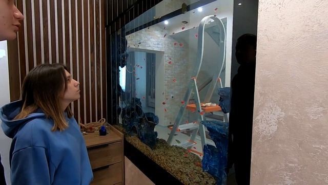 Уютный, семейный день с нами) Запустили жителей в аквариум смотреть онлайн