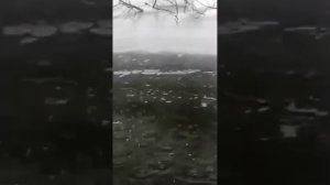Бюджетный Способ Кормления Форели