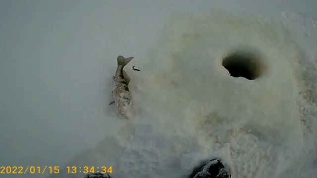 Рыбалка на горьковском под Сокольским 15и16 января 2022 смотреть онлайн