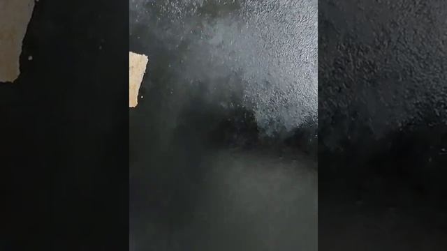 Канапе с селёдкой. смотреть онлайн