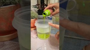 Как стабилизировать мох в домашних условиях? Часть 1