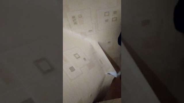 Как лехко отодрать обоии 30/летние смотреть онлайн