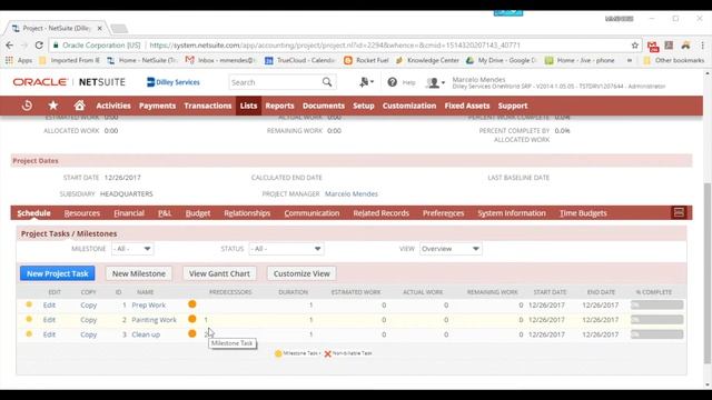 NetSuite Project Management: Creating and Organizing Project Tasks for Work Breakdown Structures смотреть онлайн