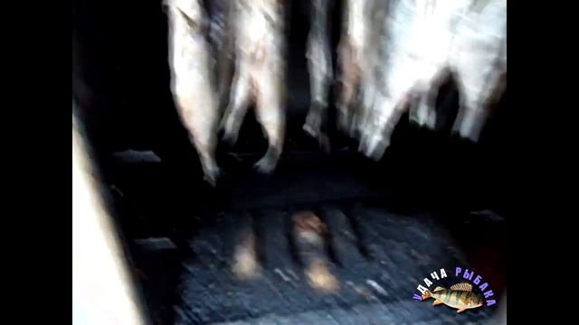 Йога и Фитнес для Беременных