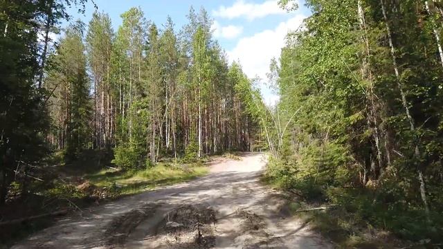 БАЙКПАКИНГ VS мошкара #велосипед #туризм смотреть онлайн