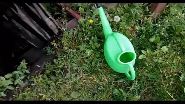 ячменный солод смотреть онлайн