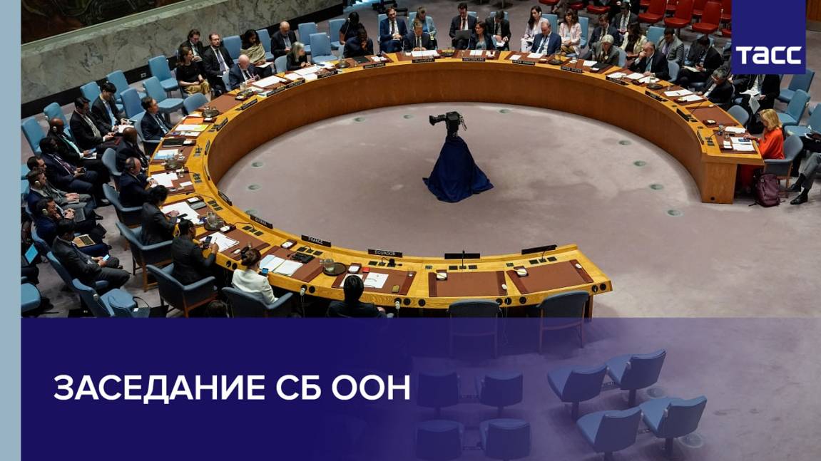 Заседание СБ ООН