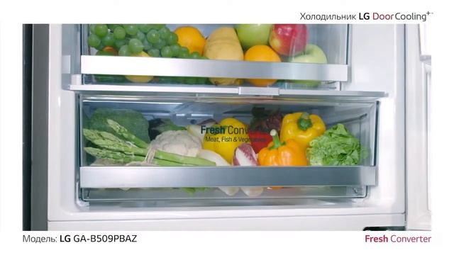 Две зоны свежести Холодильник LG DoorCooling+ GA B509PBAZ смотреть онлайн