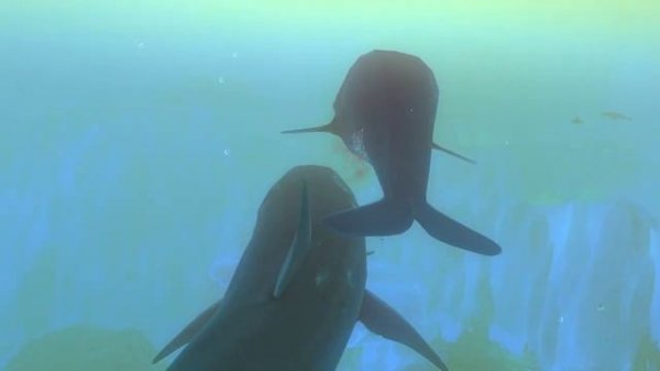 Feed And Grow Fish : Great White Shark