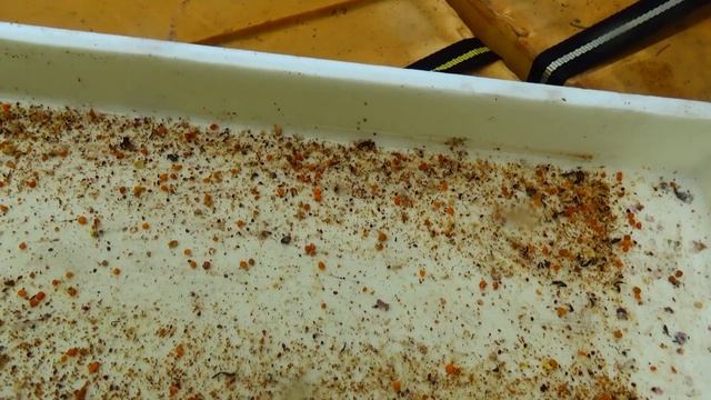 Салфетки от клеща - прополис - подкормка - забрусный воск смотреть онлайн