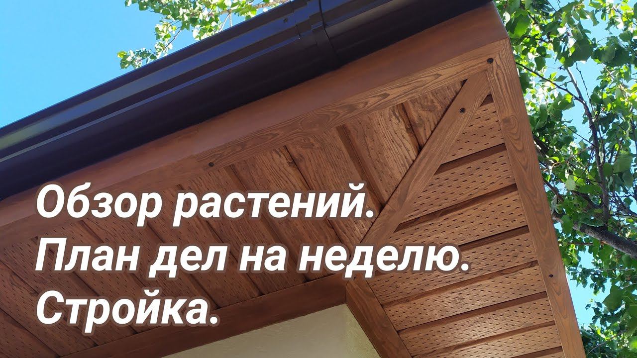 Обзор растений, план работ и стройка. смотреть онлайн