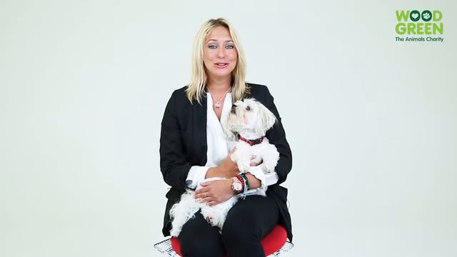 Wood Green ambassador Ali Bastian shares her support for National Unwanted Pet Week смотреть онлайн
