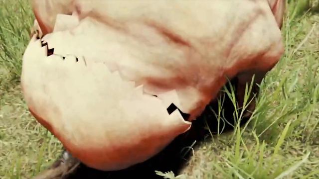 Karl Pilkington in The Forest смотреть онлайн