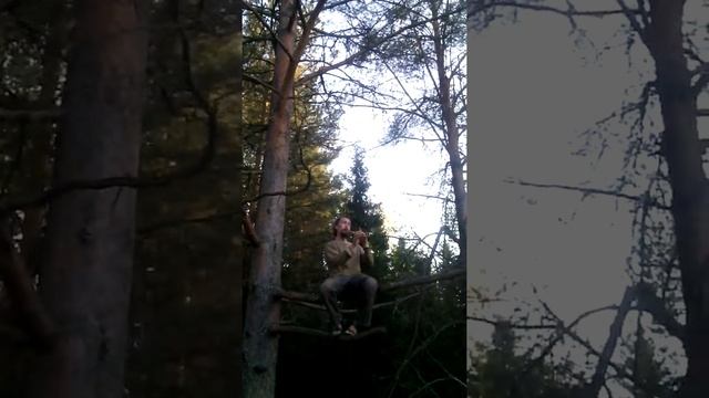 Весенняя СЯО-ТИ